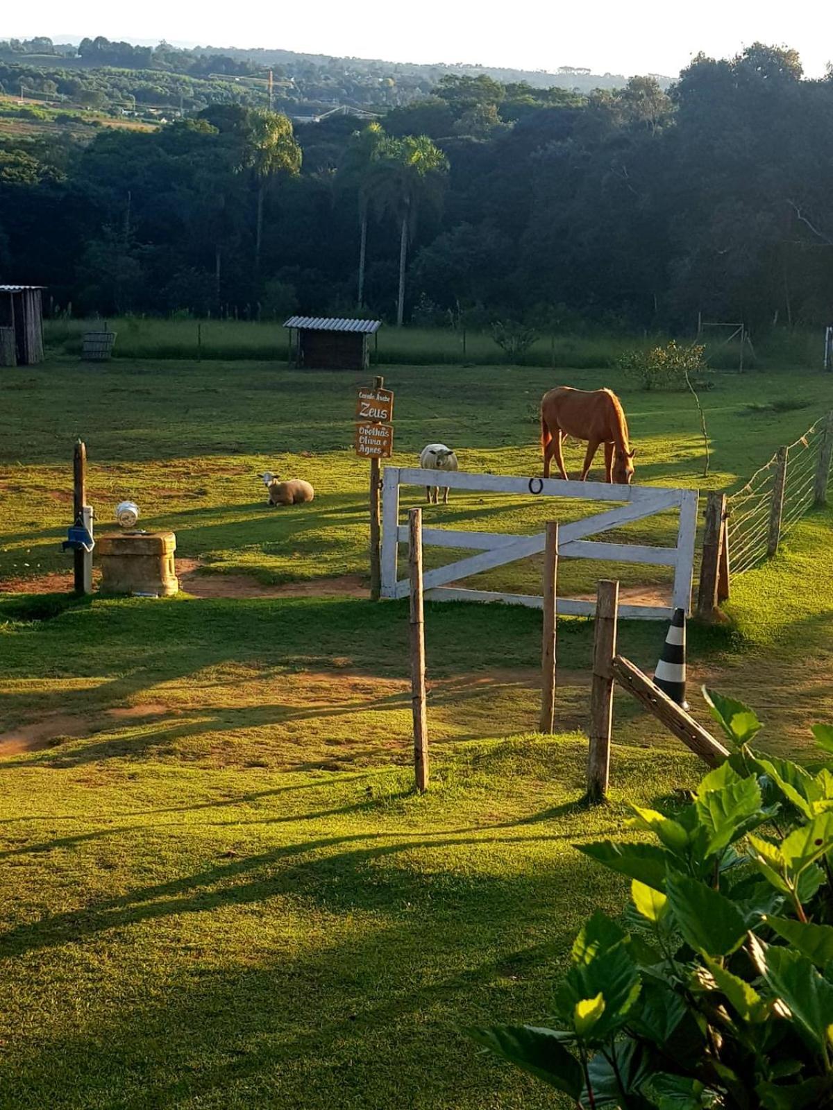 São Roque Pousada Sitio Da Terra E Arte מראה חיצוני תמונה